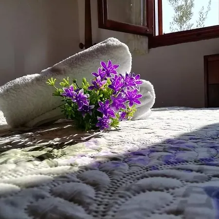 Zara's Tatil Evi