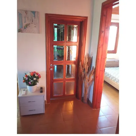 Zara's Tatil Evi Nea Silata